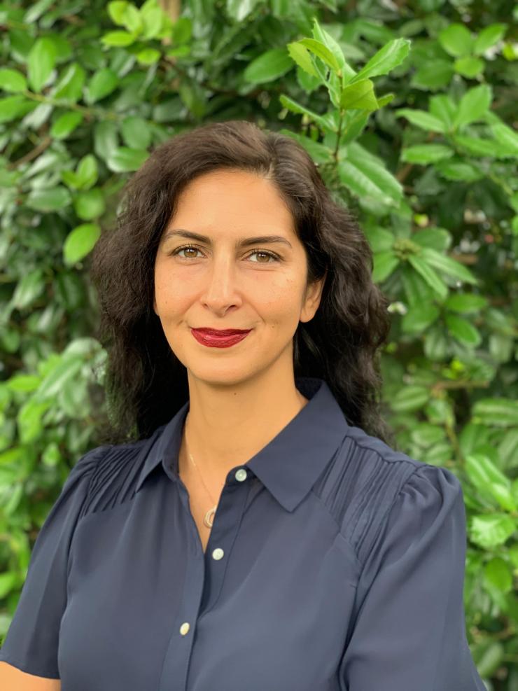 <p>Nazanin Bassiri-Gharb, Harris Saunders Jr. Chair and Professor, the Woodruff School of Mechanical Engineering and the School of Materials Science and Engineering at Georgia Tech</p>