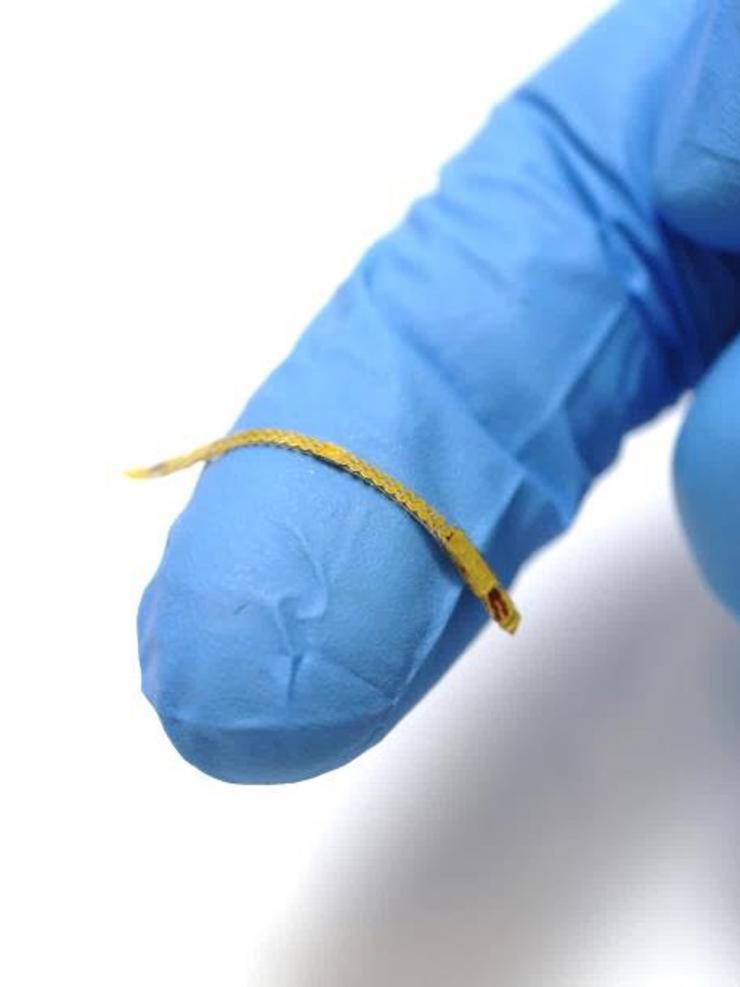<p>This smart stent can continuously monitor arterial pressure, pulse, and flow.</p>