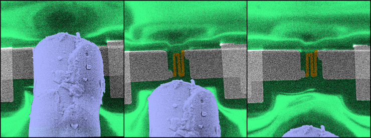 <p>Colorized scanning electron microscope image shows the position of a resistive thermal device RTD (nanoscale thermometer) as the deposition substrate moves relative to the micro-size nozzle capillary for gas jet injection for mapping local temperature. The RTD thermal response was used for validation of the model prediction of the adatom non-equilibrium thermal state. (Credit: Matthew R. Henry)</p>