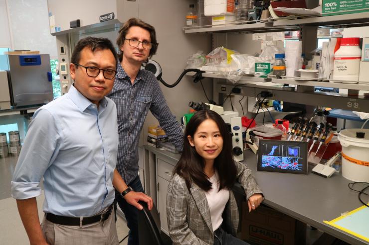 <p>(L to R) Researchers Wilbur Lam, Alexander Alexeev and Yueyi Sun hope their findings open medical options for people with clotting issues. (Photo Credit:  Reginald Tran, Georgia Tech)<br />
 </p>
