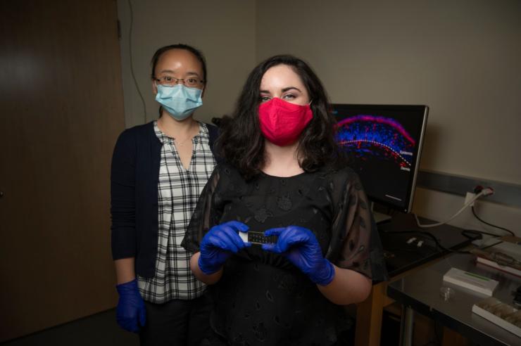 Georgia Tech researchers Liang Han (left) and Haley Steele (right) have uncovered differences in itch on hairy versus non-hairy skin that could lead to more effective treatments for patients with persistent skin itching. (Photo credit: Christopher Moore, Georgia Tech)