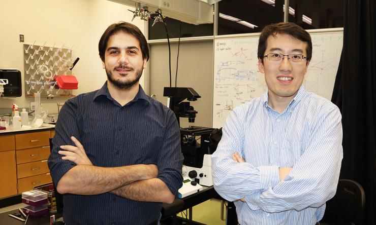 <p>Pictured left to right: <strong>Biagio Mandracchia</strong>, postdoctoral fellow in Jia’s group who led the research, and <strong>Shu Jia</strong>, assistant professor in the Wallace H. Coulter Department of Biomedical Engineering.</p>