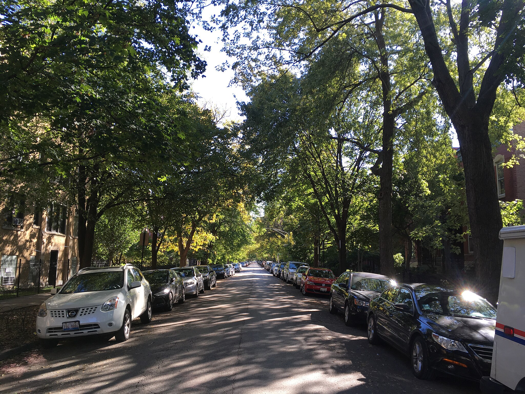 One point perspective shot of a suburban street with a healthy tree canopy cover. Eric Fischer, CC BY 2.0 &lt;https://creativecommons.org/licenses/by/2.0&gt;, via Wikimedia Commons