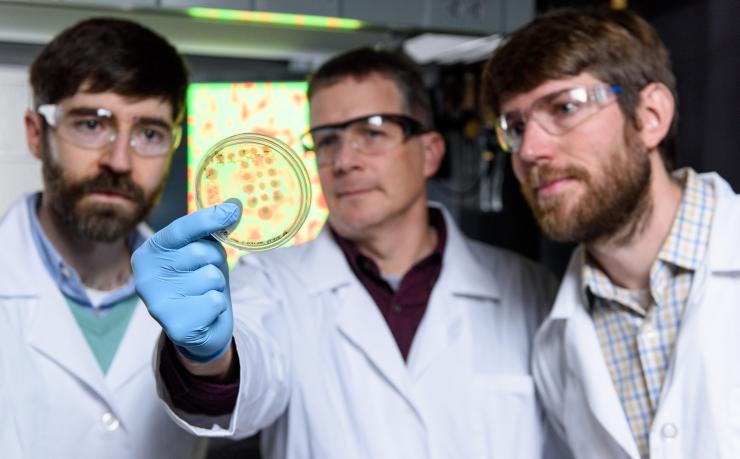 <p>Physicist Peter Yunker, microbiologist Brian Hammer, and evolutionary biologist Will Ratcliff (left to right) look at a screen of bacteria that have phase separated into divided colonies in Yunker's lab at Georgia Tech. Credit: Georgia Tech / Rob Felt</p>
