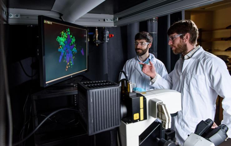 <p>Physicist Peter Yunker and evolutionary biologist Will Ratcliff view a simulation of stresses on yeast snowflakes that cause it to have a lifecycle. Credit: Georgia Tech / Rob Felt</p>