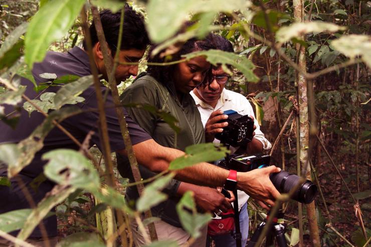 Researchers adjust an ultrafast camera in preparation for studying slingshot spiders. Shown are Assistant Professor Saad Bhamla, postdoctoral researcher Symone Alexander, and Jaime Navarro, a Peruvian field guide. (Credit: Geoff Gallice)