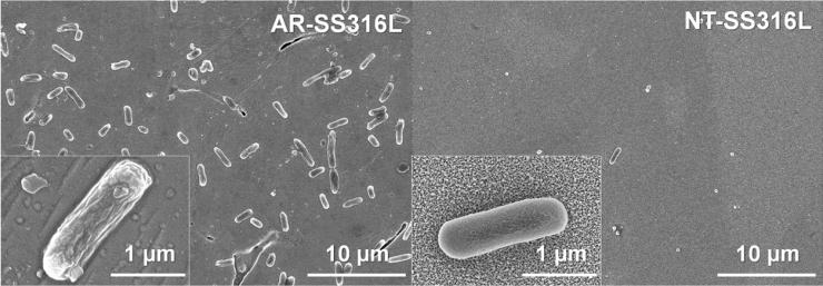 <p>These scanning electron microscope images show the difference in adhesion of E. coli bacteria. The stainless steel sample on the left had no treatment, while the sample on the right was treated to create a nanotextured surface. (Credit: Yeongseon Jang, Georgia Tech)</p>