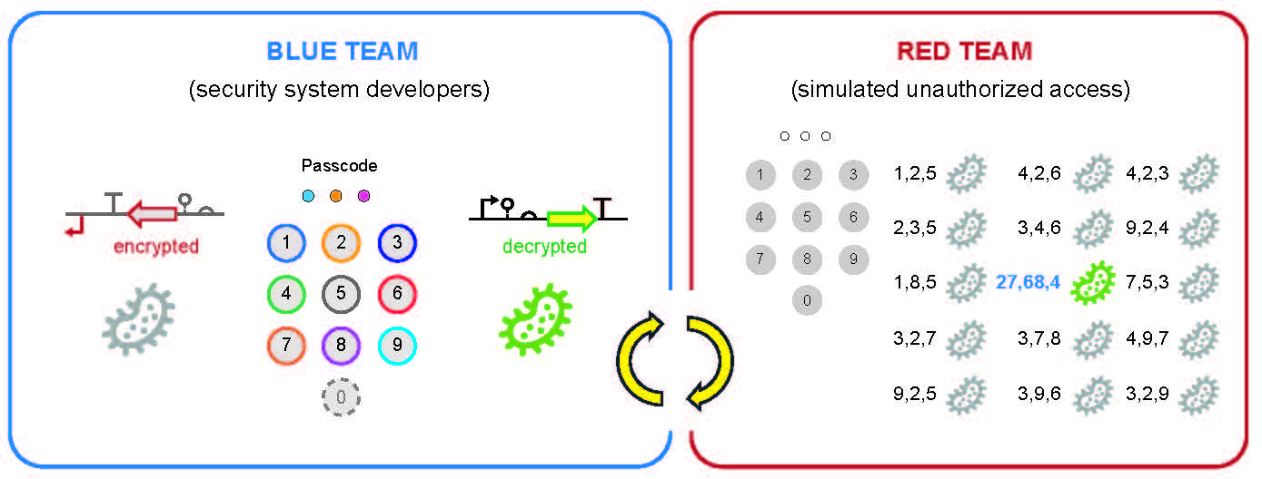 To evaluate the GeneLock technology, the researchers organized a blue team and a red team into a biohackathon.