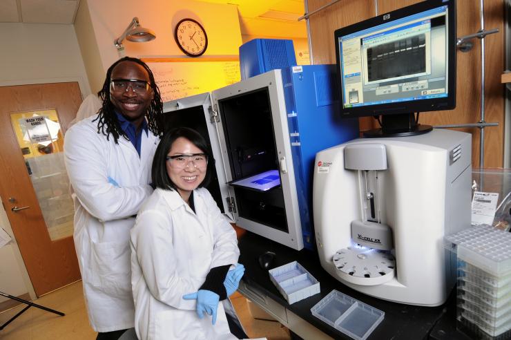 <p>Manu Platt (left), an associate professor in the Wallace H. Coulter Department of Biomedical Engineering at Georgia Tech and Emory University, and graduate student Keon-Young Park, produce high-quality images from the gels shown to quantify cathepsin activity. In a new study, the researchers are studying levels of cathepsins and other signaling chemicals in an effort to predict the invasiveness of breast cancer in individual patients. (Credit: Gary Meek, Georgia Tech)</p>