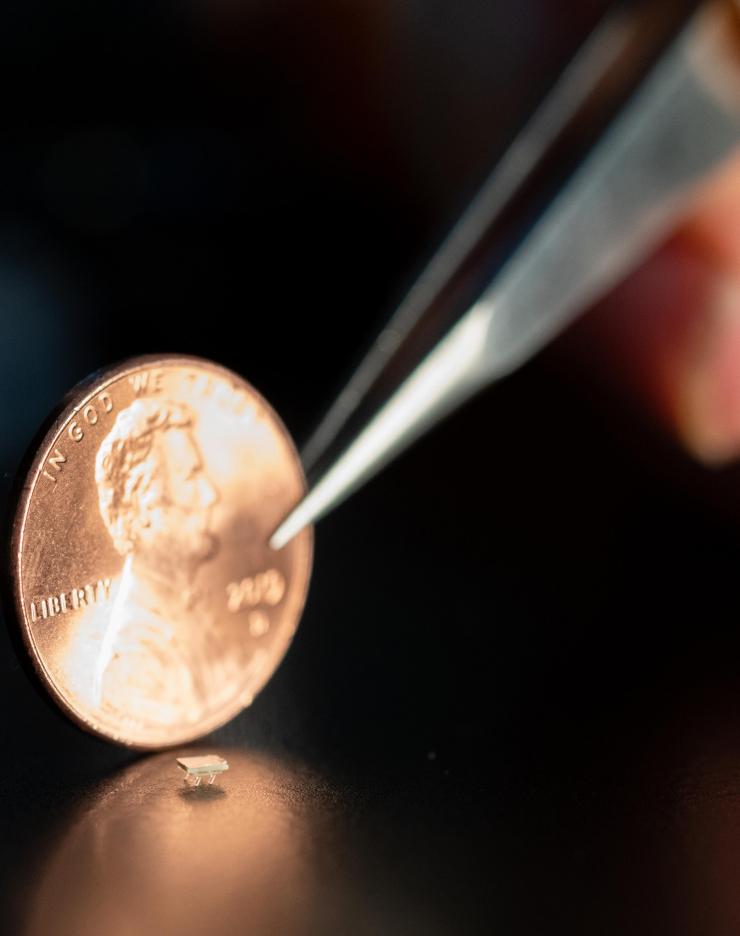 <p>A micro-bristle-bot is shown next to a U.S. penny for size comparison. (Photo: Allison Carter)</p>