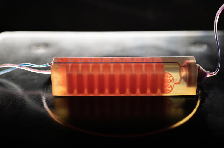 <p>A 3D-printed cell trap developed in the laboratory of Georgia Tech Assistant Professor A. Fatih Sarioglu captures blood cells to isolate tumor cells from a blood sample. (Photo: Allison Carter, Georgia Tech)</p>