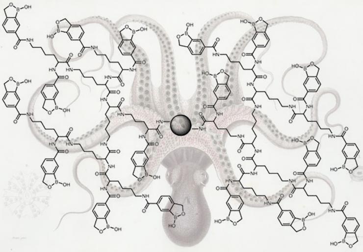 Chemical octopus that catches trace glycoproteins