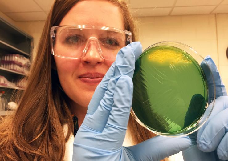 <p>Eryn Bernardy, a doctoral candidate in Georgia Tech’s School of Biology, holds an agar plate on which cholera colonies (yellow) are growing. Bernardy is first author on a new paper describing research into the diversity and resourcefulness of the bacterium. (Credit: John Toon, Georgia Tech)  </p>