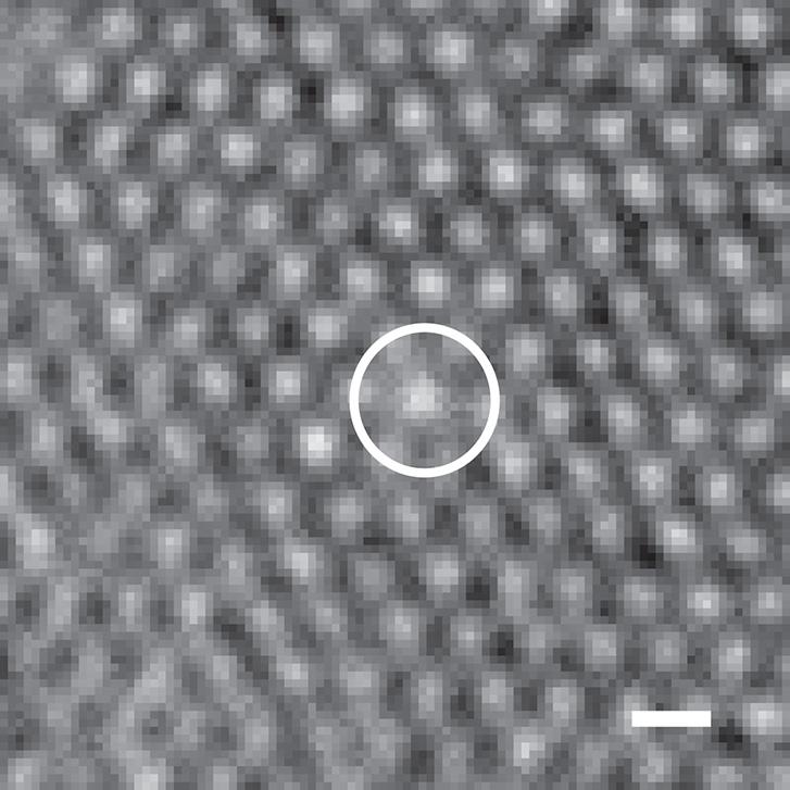 <p>Microscope image shows the higher optical density of a microgel particle that had shrunk to match the size of other particles in the assembly. (Credit: Angewandte Chemie International)</p>