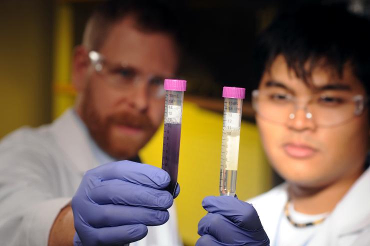 <p>The global amount of recoverable fecal waste harbors risks, such as water contamination, as well as opportunities to harvest natural resources. Georgia Tech Assistant Professor Joe Brown with (left) and Graduate Research Assistant Andy Loo. (Photo: Gary Meek)</p>