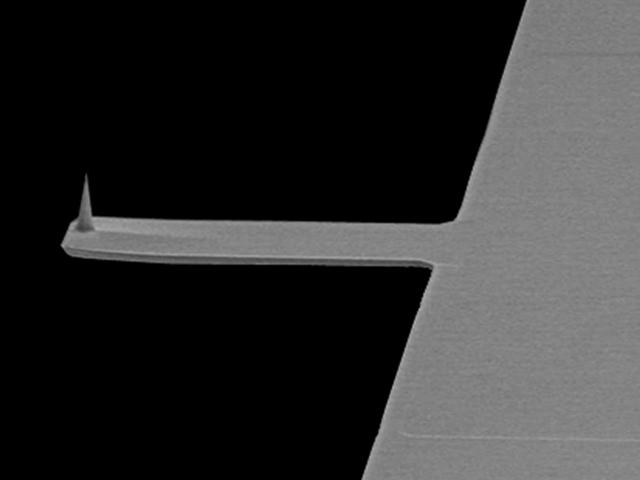 <p>File photo of a commonly used cantilever for atomic force microscopy.</p>