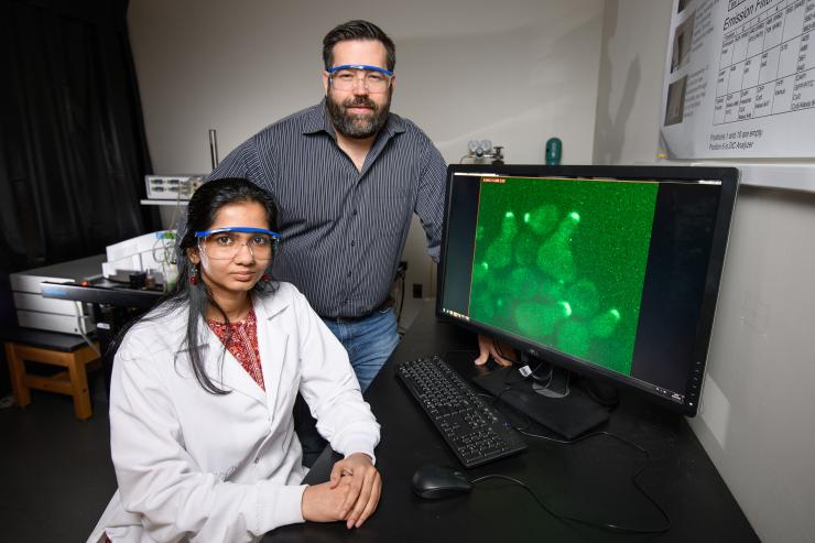 <p>Georgia Tech Associate Professor Matthew Torres and Doctoral Candidate Shilpa Choudhury are shown with images showing cells with a localized green fluorescent protein signal at the membrane. (Credit: Rob Felt, Georgia Tech)</p>