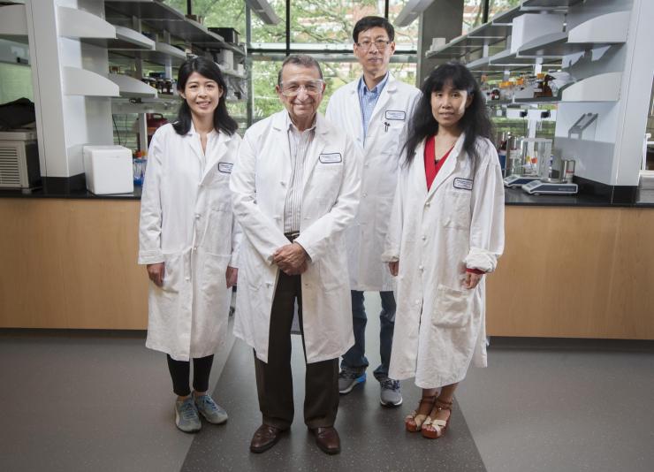 <p>Georgia Tech's Regents Professor Mostafa El-Sayed (front) is one of the most highly decorated and cited living chemists. With his team for this research from left to right: Yue Wu, Professor Ronghu Wu, and Yan Tang. Credit: Georgia Tech / Christopher Moore</p>