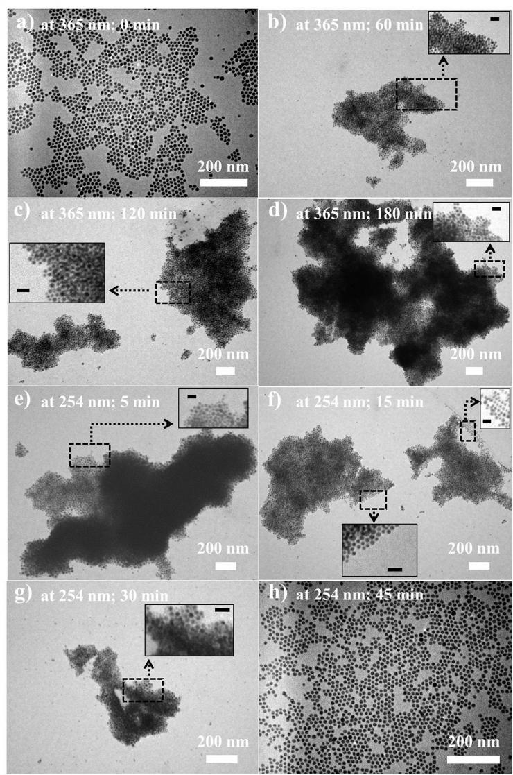 <p>This figure shows the evolution of light-enabled reversible self-assembly of gold nanoparticles made with light-sensitive materials. (Courtesy Zhiqun Lin laboratory).</p>