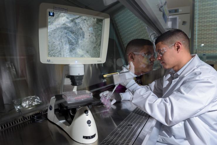 <p>Georgia Tech Graduate Research Assistant Ricardo Cruz-Acuña prepares hydrogel matrix materials containing human intestinal organoids (HIOs). The research may lead to a new technique for treating injuries caused by gastrointestinal diseases. (Credit: Rob Felt, Georgia Tech)</p>