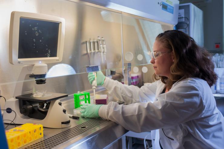 <p>Jessica Weaver, a postdoctoral researcher in Georgia Tech’s Woodruff School of Mechanical Engineering, places hydrogel samples into multiwell plate for testing. Pancreatic islet clusters are shown on the microscope screen. (Credit: Christopher Moore, Georgia Tech)</p>