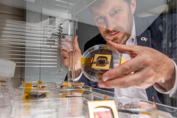 <p>GTRI Principal Research Engineer Jud Ready holds a sample of a perovskite solar cell, along with other samples similar to those launched to the International Space Station. (Photo: Branden Camp, Georgia Tech)</p>