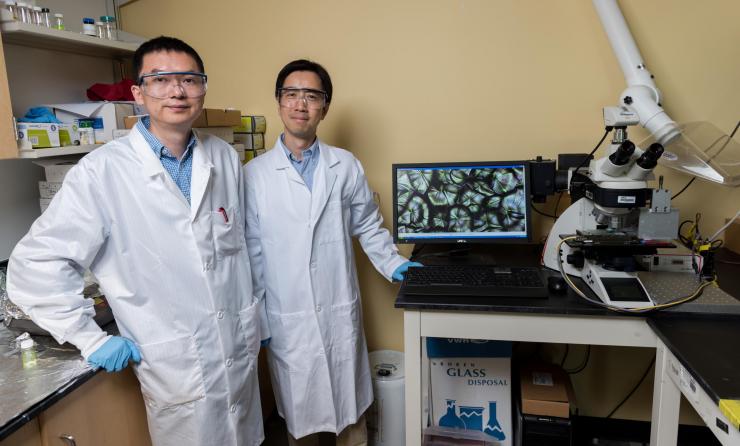 <p>Research Scientist Ming He (left) and Professor Zhiqun Lin are shown in Lin’s laboratory in the School of Materials Science and Engineering at the Georgia Institute of Technology. (Credit: Rob Felt, Georgia Tech)</p>