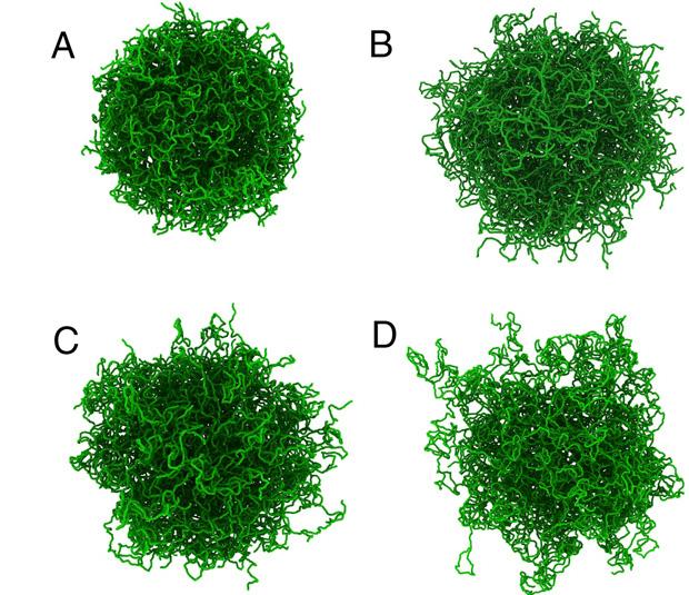 <p>Simulation snapshots of swollen microgel particles. (Top) Microgels that have a uniform cross-link distribution, and (Bottom) microgels that have a Gaussian cross-link distribution. (Credit: Georgia Tech)</p>