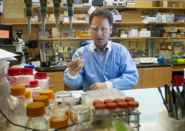 <p>Mark Prausnitz, PhD, Georgia Tech Regents professor in the School of Chemical and Biomolecular Engineering, is shown in the laboratory where the microneedle vaccine patch was developed. (Credit: Christopher Moore, Georgia Tech)</p>