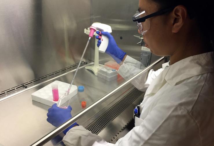 <p>Georgia Tech Graduate Research Assistant Mengnan Zhang moves samples of pancreatic cancer cells into a flask for study. The research examined the role of microRNA molecules in controlling resistance to chemotherapy drugs. (Credit: John Toon, Georgia Tech)</p>