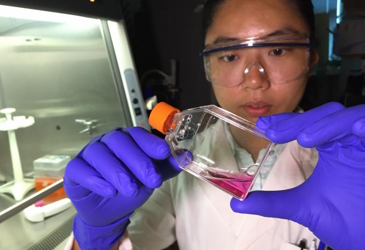 <p>Georgia Tech Graduate Research Assistant Mengnan Zhang examines a solution containing pancreatic cancer cells. The research examined the role of microRNA molecules in controlling resistance to chemotherapy drugs. (Credit: John Toon, Georgia Tech)</p>