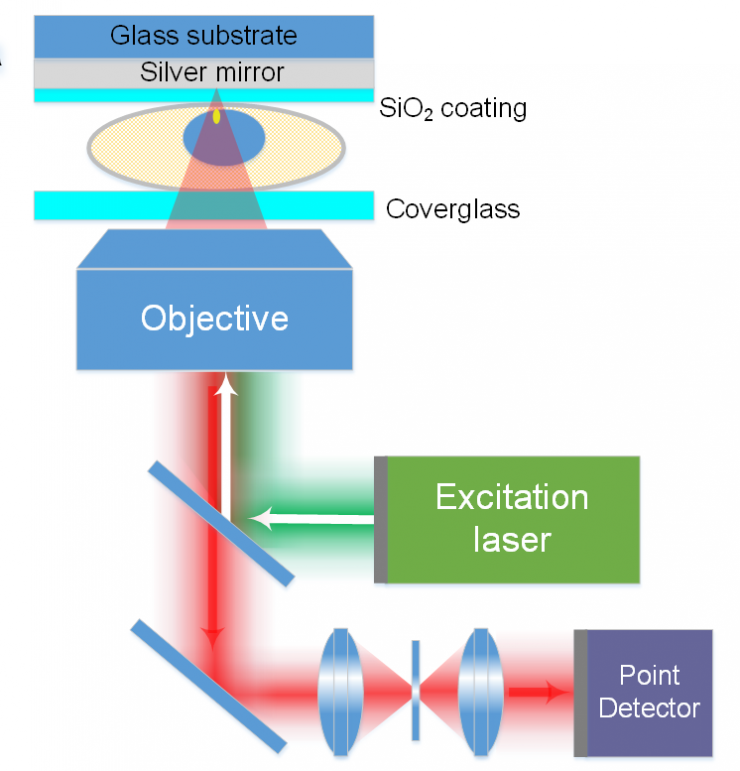 <p>Schematic shows how light is reflected by the mirror on the back on the cell sample to improve the resolution in the Z-Axis. (Credit: Eric Alonas, Georgia Tech)</p>