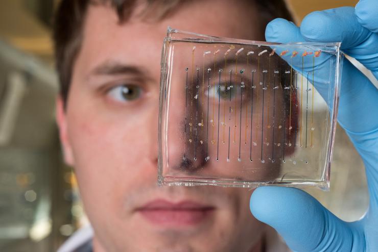 <p>James Dahlman, an assistant professor in the Wallace H. Coulter Department of Biomedical Engineering at Georgia Tech and Emory University, holds a microfluidic chip used to fabricate nanoparticles that could be used to deliver therapeutic genes. (Credit: Rob Felt, Georgia Tech)</p>