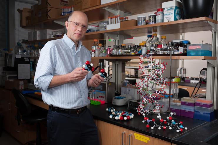 <p>Nicholas Hud researches the possible origins of life chemicals on early Earth, when many of them may have formed in puddles. He has produced good candidates for precursors of RNA in easy reactions and in plentiful quantities using <a href="http://www.rh.gatech.edu/features/what-came-chicken-or-egg">triaminopyrimidine</a>, <a href="https://en.wikipedia.org/wiki/Cyanuric_acid">Cyanuric acid</a>, barbituric acid, and melamine. Credit: Georgia Tech / Fitrah Hamid </p>