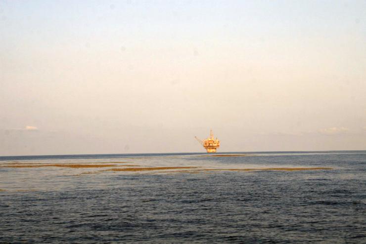 <p>Image shows a natural surface slick near an oil platform in the Gulf of Mexico. This slick is at GC600, the site where researchers first noticed the association between surface chlorophyll and seepage. The brownish material in the slick is <em>Sargassum</em>, which is abundant in the Gulf and often accumulates in slicks under calm conditions. (Credit: Joe Montoya, Georgia Tech)</p>