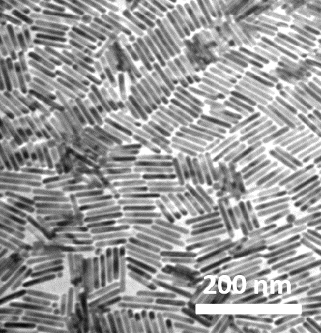 Lead telluride nanorods