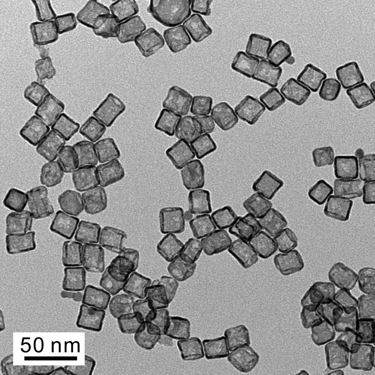 Platinum hollow nanocages2