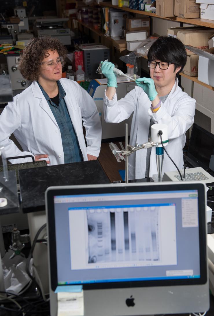 <p>Georgia Tech Associate Professor Francesca Storici (left), Graduate Student Kyung Duk Koh and collaborators have developed and tested ribose-seq, a technique for identifying ribonucleotides in genomic DNA. (Credit: Rob Felt).</p>