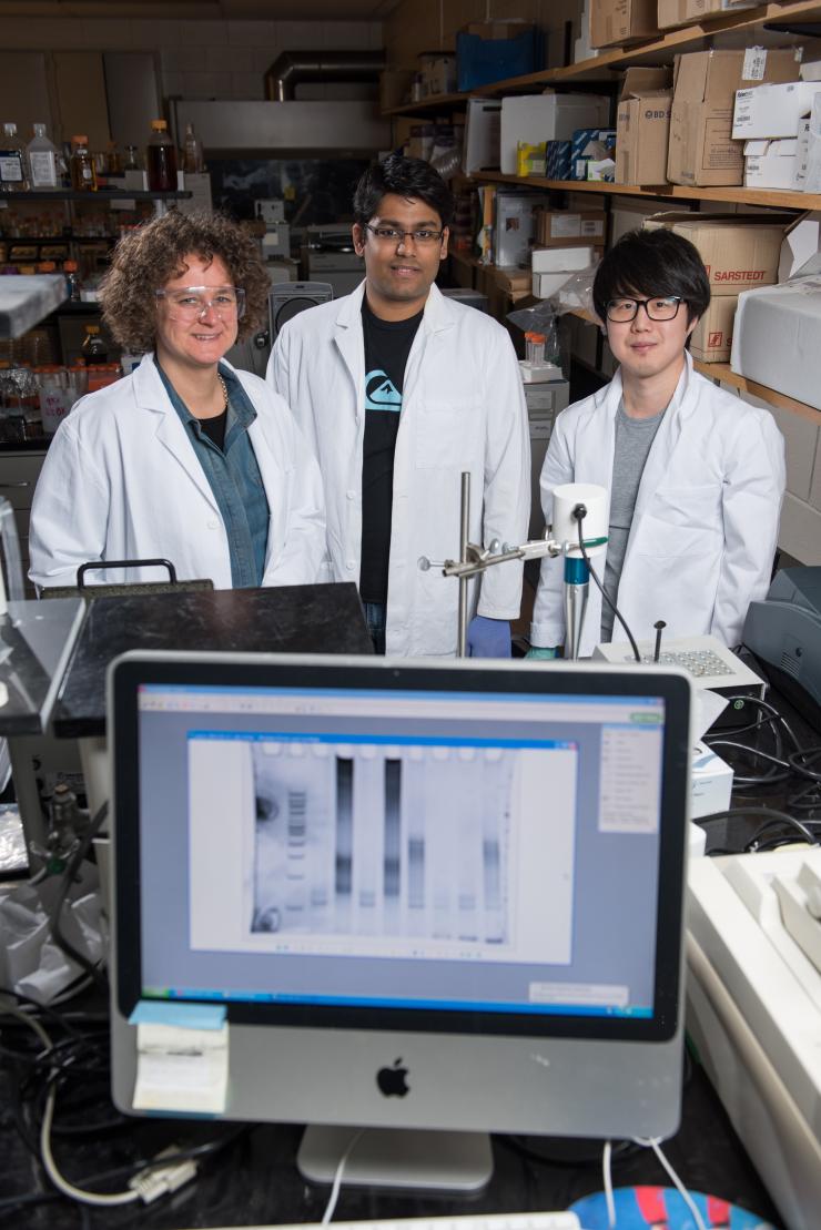 <p>Georgia Tech researchers, (l-r) Associate Professor Francesca Storici and Graduate Students Sathya Balachander and Kyung Duk Koh have developed and tested a technique for identifying ribonucleotides in genomic DNA. (Credit: Rob Felt).</p>