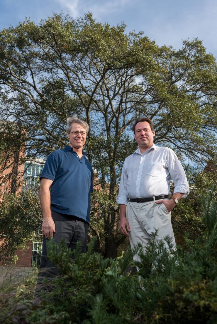 <p>Image shows Georgia Tech Professor Loren Williams (left) and Research Scientist Anton Petrov in front of a large tree that symbolizes the growth and accretion of the ribosome over time. (Credit: Rob Felt, Georgia Tech).</p>