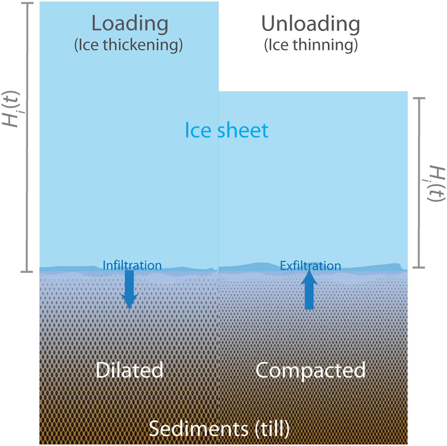 Illustration of exfiltration, infiltration of groundwater