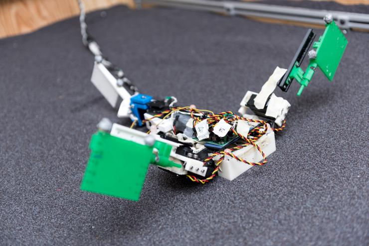 <p>Image shows the “MuddyBot” robot that used the locomotion principles of the mudskipper to move through a trackway filled with granular materials. The robot has two limbs and a powerful tail, with motion provided by electric motors. (Credit: Rob Felt, Georgia Tech)</p>