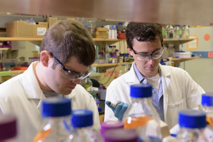 <p>Georgia Tech graduate research assistant Daniel Watstein and assistant professor Mark Styczynski work in a laboratory on a project to use E. coli bacteria to detect nutritional deficiencies in resource-limited areas of the world. (Credit: Rob Felt, Georgia Tech)</p>