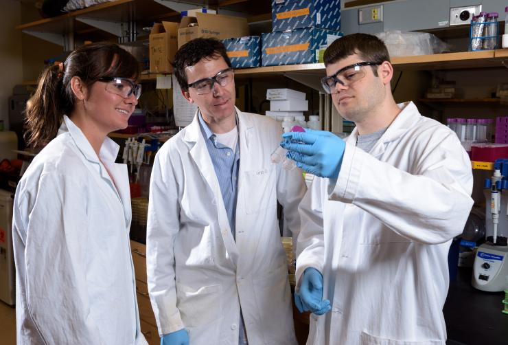 <p>Georgia Tech researchers have engineered a bacterium to produce different pigments in response to varying levels of a micronutrient in blood samples. Shown are (left to right) graduate assistant Monica McNerney, assistant professor Mark Styczynski and graduate assistant Daniel Watstein. (Credit: Rob Felt, Georgia Tech)</p>