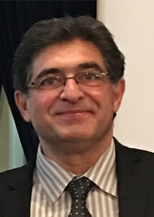 Hamid Garmestani