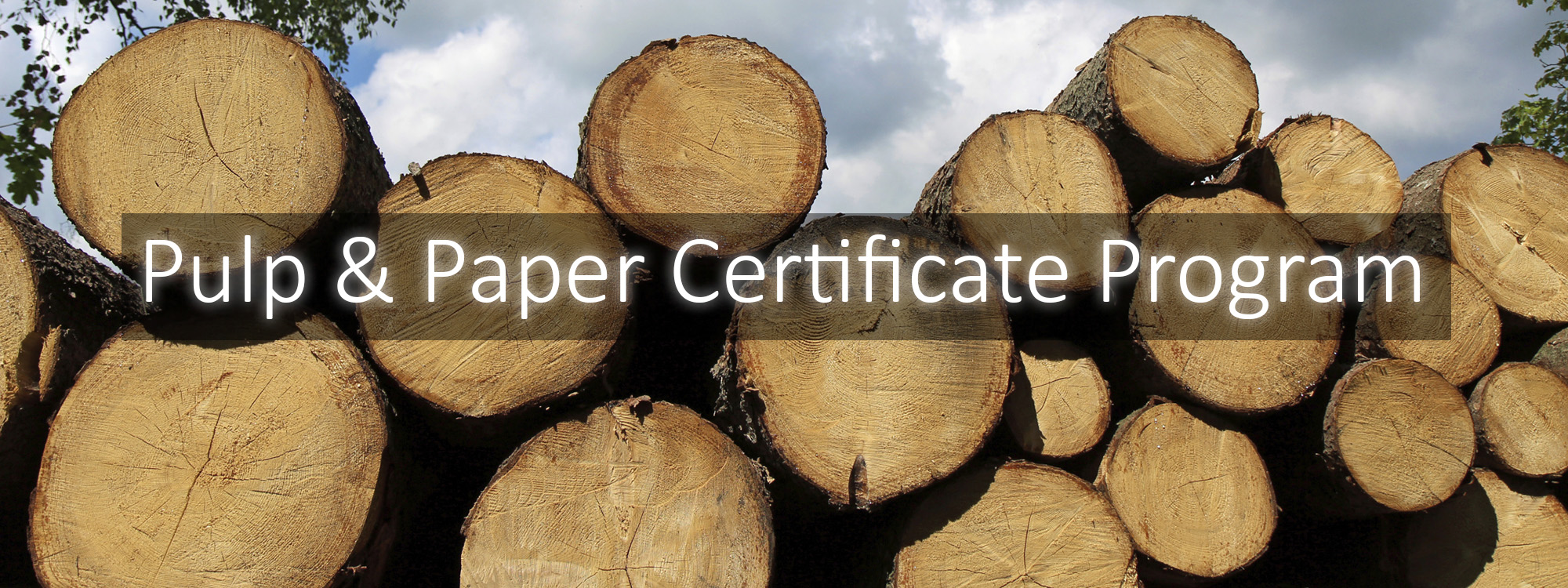 Pulp and Paper Certificate Program