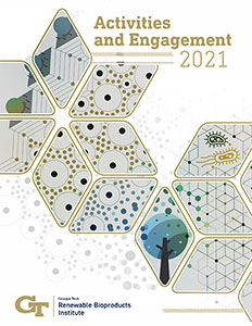 Activities and Engagement Report 2021