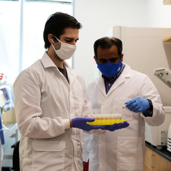 Two people in white lab coats and blue gloves hold a tray of samples. 