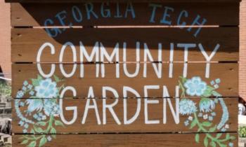 Community Garden>