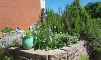 Community Garden